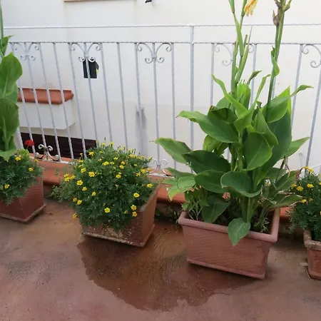 Il Roseto Di Betty In S1 Palermo