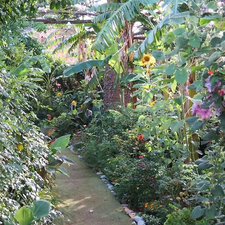 Il Roseto Di Betty In S1 Апартаменты Палермо